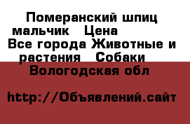 Померанский шпиц мальчик › Цена ­ 30 000 - Все города Животные и растения » Собаки   . Вологодская обл.